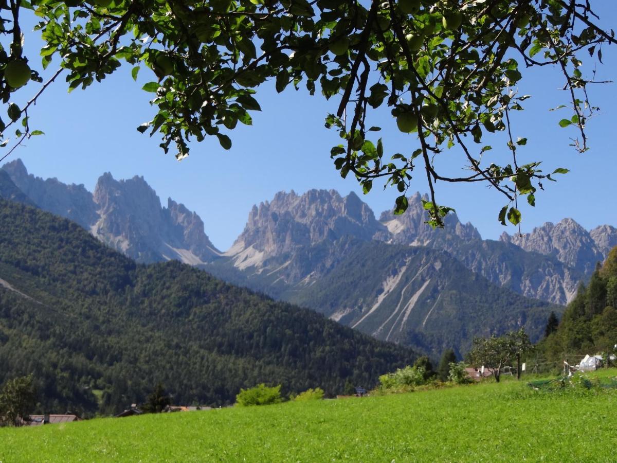 Residence Dolomiti フォルニ・ディ・ソプラ エクステリア 写真