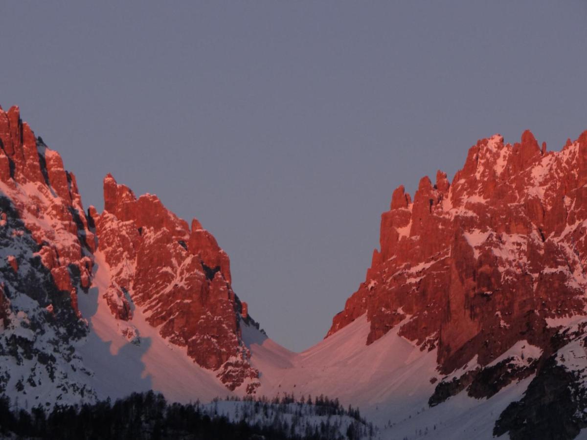 Residence Dolomiti フォルニ・ディ・ソプラ エクステリア 写真